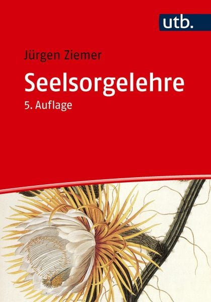 Produktbild: Seelsorgelehre