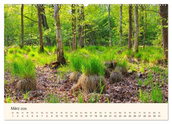 Produktbild: Ummanz - Naturparadies in der R&uuml;gener Boddenlandschaft (hochwertiger Premium Wandkalender 2026 DIN A2 quer), Kunstdruck in Hochglanz