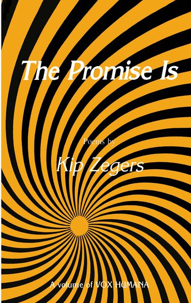Produktbild: The Promise Is
