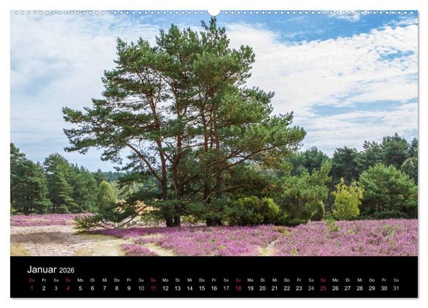 Produktbild: L&uuml;neburger Heide (hochwertiger Premium Wandkalender 2026 DIN A2 quer), Kunstdruck in Hochglanz