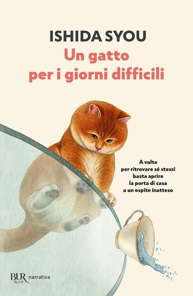 Produktbild: Un gatto per i giorni difficili