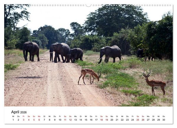 Produktbild: Sambia und der Sambesi (hochwertiger Premium Wandkalender 2026 DIN A2 quer), Kunstdruck in Hochglanz