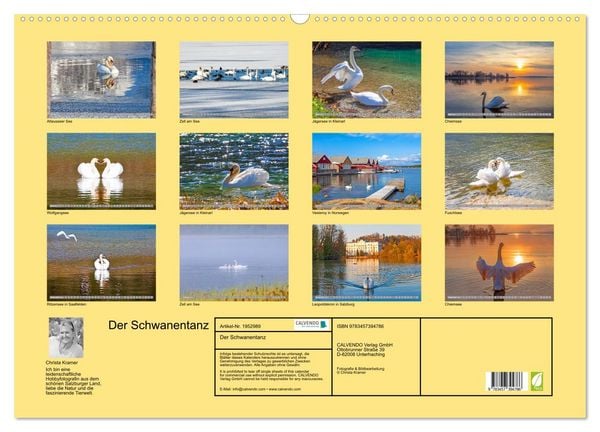 Produktbild: Der Schwanentanz (Wandkalender 2026 DIN A2 quer), CALVENDO Monatskalender