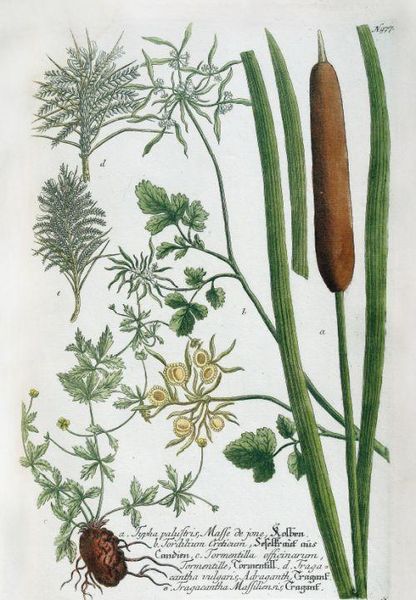 Produktbild: Vom Garten Eden bis zu Salomos Weinberg
