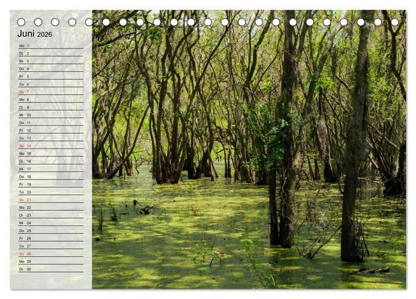 Produktbild: FLORIDA Idyllischer Sonnenscheinstaat (Tischkalender 2026 DIN A5 quer), CALVENDO Monatskalender