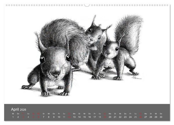 Produktbild: owls & friends 2026 (hochwertiger Premium Wandkalender 2026 DIN A2 quer), Kunstdruck in Hochglanz