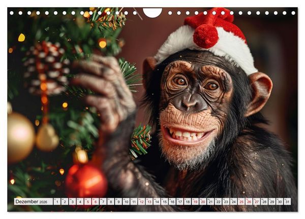 Produktbild: Schimpansen - Ein Jahr mit Menschenaffen. (Wandkalender 2026 DIN A4 quer), CALVENDO Monatskalender