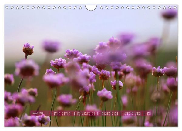 Produktbild: Sylt - Wasser, Wind und Wellen (Wandkalender 2026 DIN A4 quer), CALVENDO Monatskalender