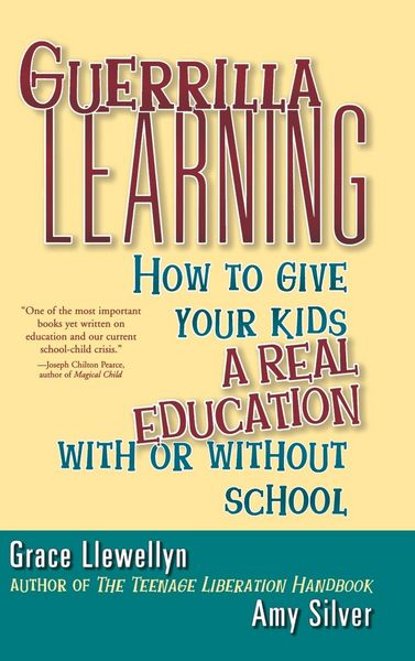 Produktbild: Guerrilla Learning