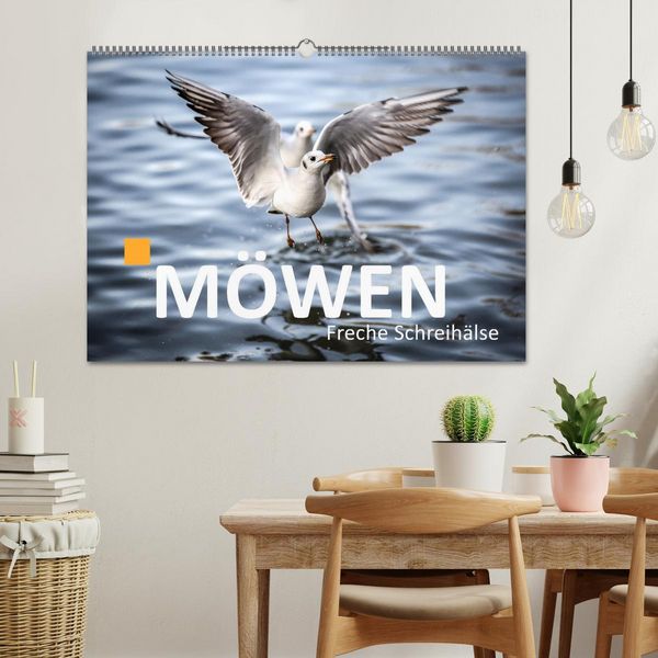 Produktbild: M&Ouml;WEN Freche Schreih&auml;lse (Wandkalender 2026 DIN A2 quer), CALVENDO Monatskalender