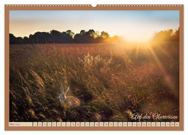 Produktbild: Dreieich Natur Pur (hochwertiger Premium Wandkalender 2026 DIN A2 quer), Kunstdruck in Hochglanz