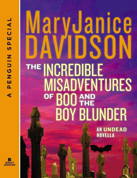 Produktbild: The Incredible Misadventures of Boo and the Boy Blunder
