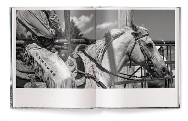 Produktbild: A Ranch Year