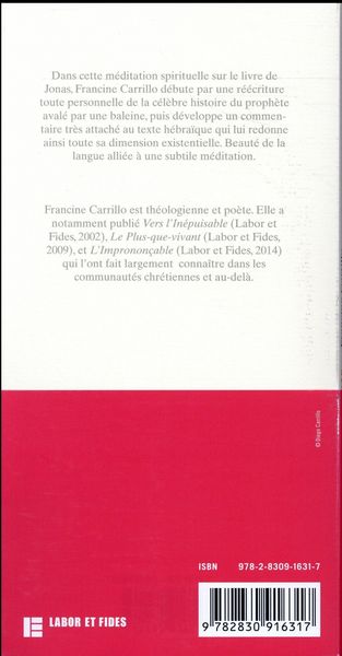 Produktbild: Jonas : comme un feu d&eacute;vorant