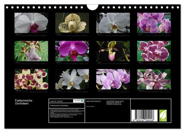 Produktbild: Farbenreiche Orchideen (Wandkalender 2026 DIN A4 quer), CALVENDO Monatskalender