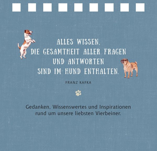 Produktbild: Kl. Spiralaufstellbuch: Tierisch beste Freunde (cats & dogs)