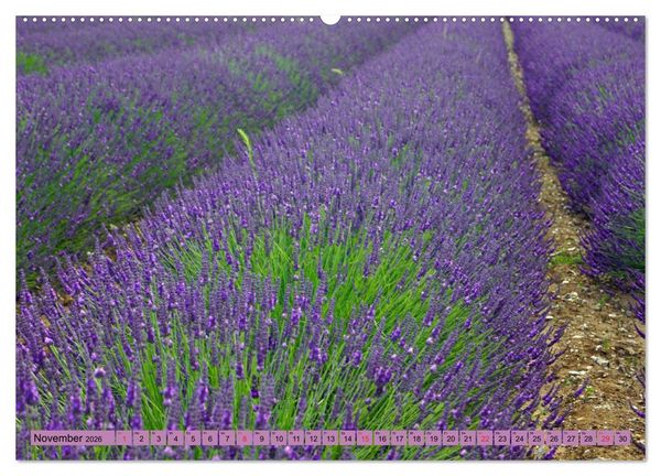 Produktbild: Farbzauber Lavendel (hochwertiger Premium Wandkalender 2026 DIN A2 quer), Kunstdruck in Hochglanz