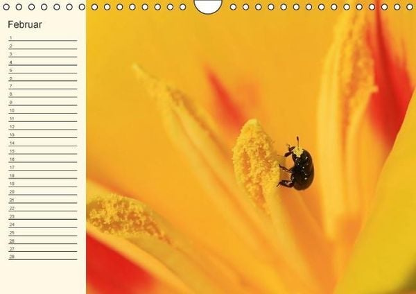 Produktbild: Geburtstagskalender "Nette Kleinigkeiten" (Wandkalender immerw&auml;hrend DIN A4 quer)