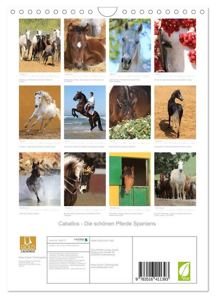 Produktbild: Caballos - Die sch&ouml;nen Pferde Spaniens (Wandkalender 2026 DIN A4 hoch), CALVENDO Monatskalender