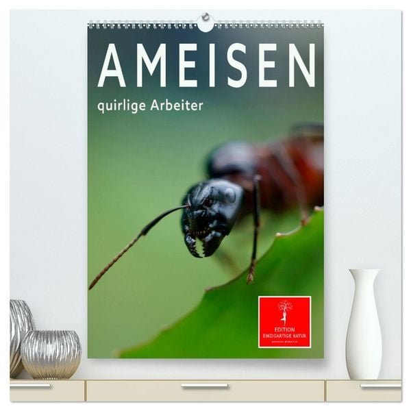 Produktbild: Ameisen quirlige Arbeiter (hochwertiger Premium Wandkalender 2026 DIN A2 hoch), Kunstdruck in Hochglanz