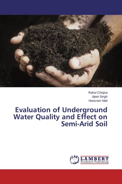 Produktbild: Evaluation of Underground Water Quality and Effect on Semi-Arid Soil