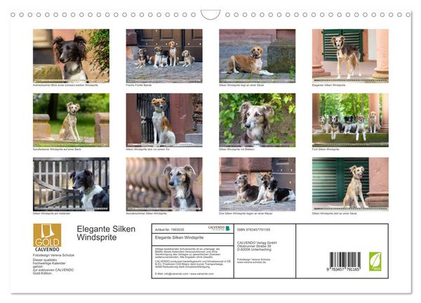 Produktbild: Elegante Silken Windsprite (Wandkalender 2026 DIN A3 quer), CALVENDO Monatskalender