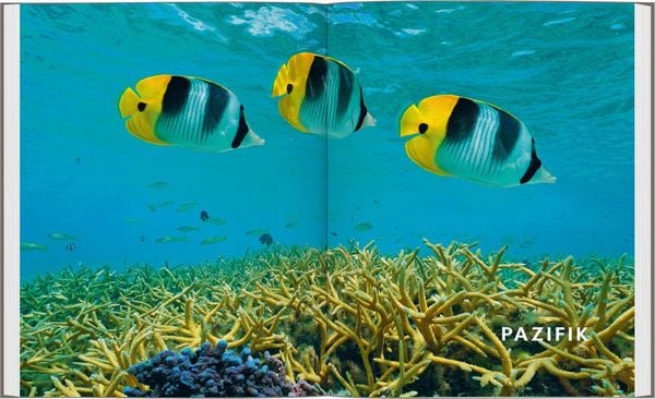 Produktbild: LONELY PLANET Bildband Legend&auml;re Tauchabenteuer