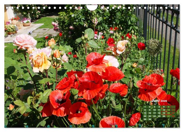 Produktbild: Urlaub im Garten (Wandkalender 2026 DIN A4 quer), CALVENDO Monatskalender