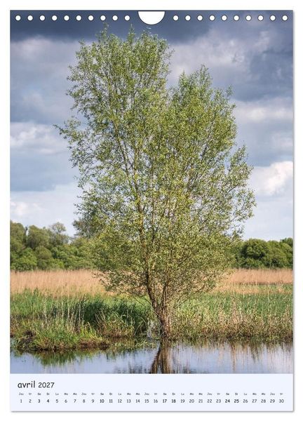 Produktbild: Arbres solitaires (Calendrier mural 2027 DIN A4 horizontal), CALVENDO calendrier mensuel