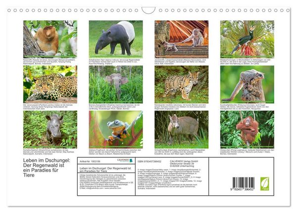 Produktbild: Leben im Dschungel: Der Regenwald ist ein Paradies f&uuml;r Tiere (Wandkalender 2026 DIN A3 quer), CALVENDO Monatskalender