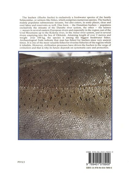 Produktbild: The Eurasian Huchen, Hucho hucho
