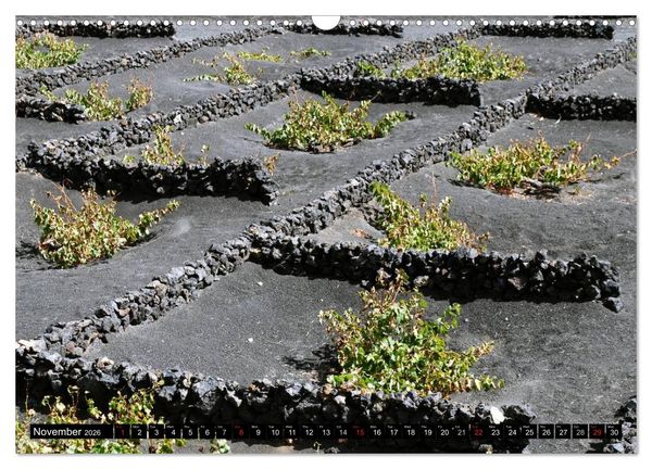 Produktbild: Lanzarote - Canary Islands (Wall Calendar 2026 DIN A3 landscape), CALVENDO 12 Month Wall Calendar