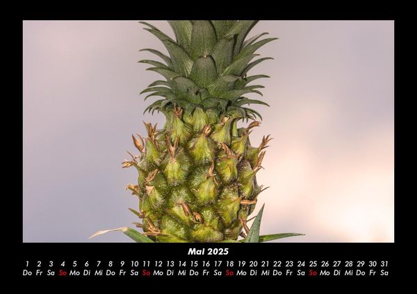 Produktbild: Obstkalender 2025 Fotokalender DIN A3
