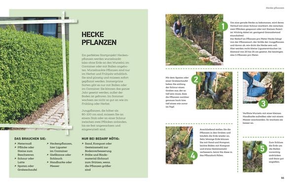 Produktbild: Projekt Garten