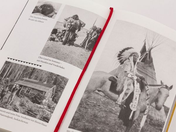 Produktbild: Pfade in der Wildnis
