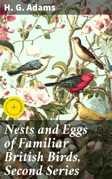 Produktbild: Nests and Eggs of Familiar British Birds, Second Series