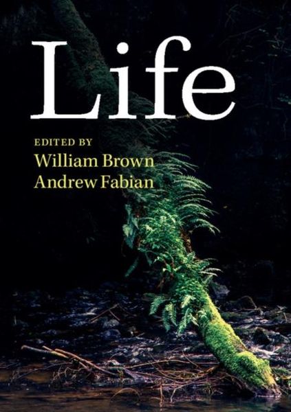 Produktbild: Life