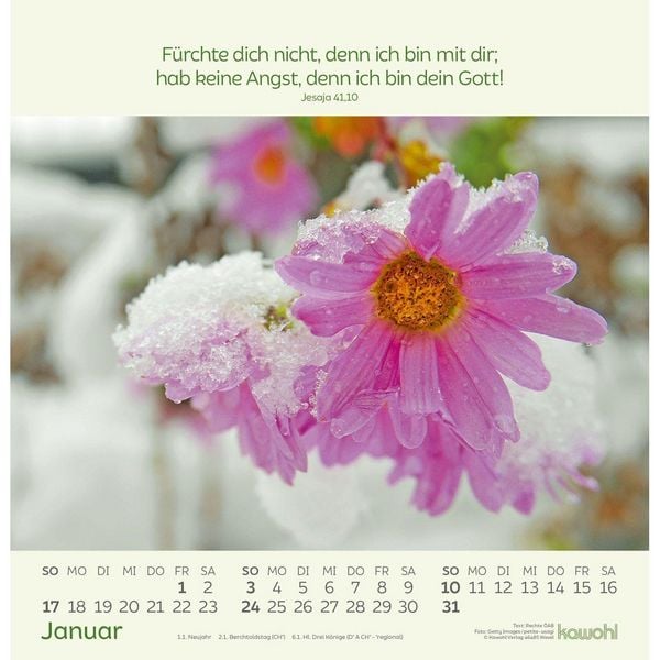 Produktbild: Blumengr&uuml;&szlig;e 2027