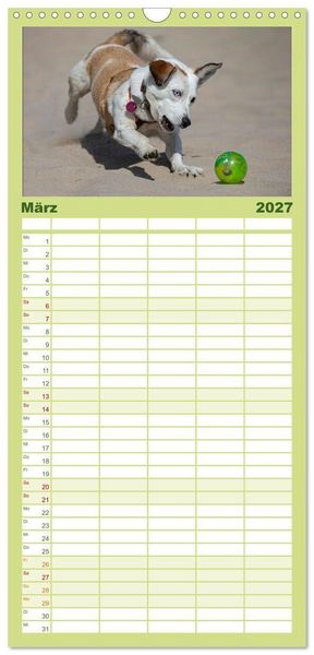 Produktbild: Familienplaner 2027 - Hunde Action mit 5 Spalten (Wandkalender, 21 x 45 cm) CALVENDO