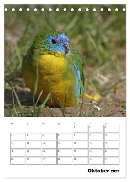 Produktbild: Papageien - Graupapagei, Rosella und Co. (Tischkalender 2027 DIN A5 hoch), CALVENDO Monatskalender