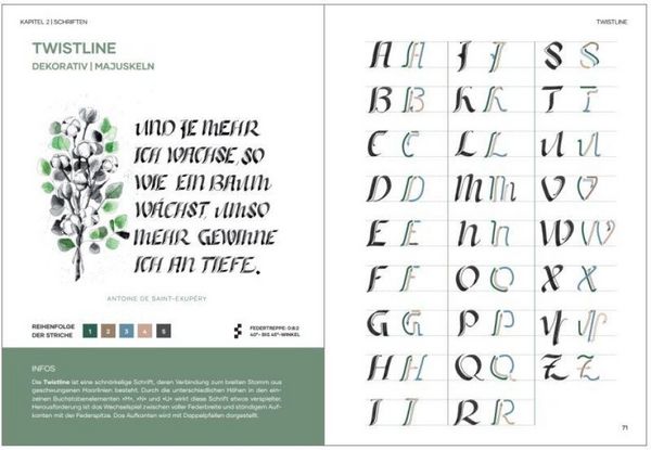 Produktbild: Praxisbuch Kalligraphie Alphabete