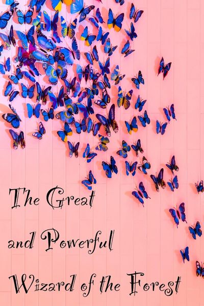 Produktbild: The Great and Powerful Wizard of the Forest (Colorville Chronicles, #1)