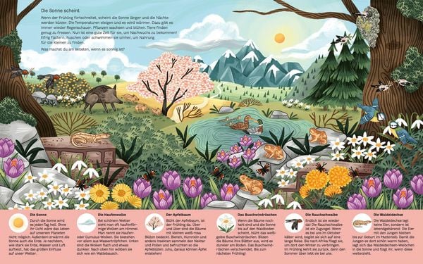 Produktbild: Erkl&auml;r mir die Natur