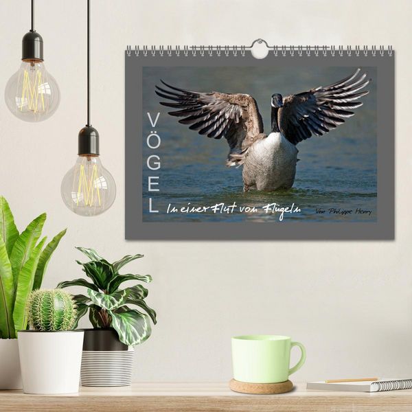 Produktbild: V&Ouml;GEL (Wandkalender 2026 DIN A4 quer), CALVENDO Monatskalender
