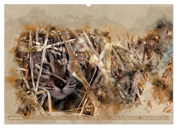 Produktbild: Katzenkalender mausgemalt (hochwertiger Premium Wandkalender 2026 DIN A2 quer), Kunstdruck in Hochglanz