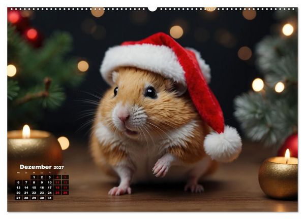 Produktbild: Hamstertage (Wandkalender 2027 DIN A2 quer), CALVENDO Monatskalender