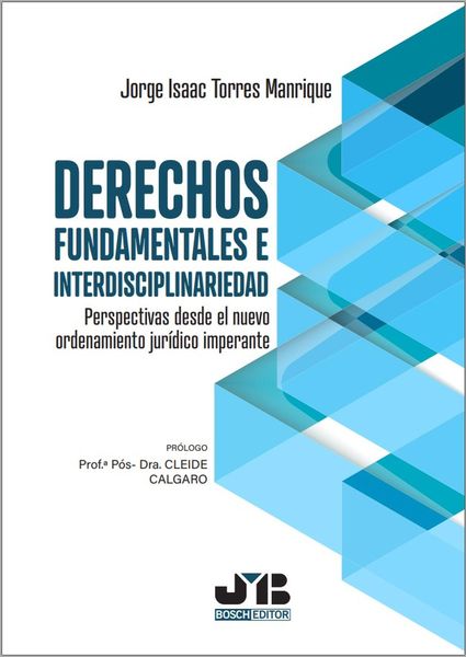 Produktbild: Derechos fundamentales e interdisciplinariedad