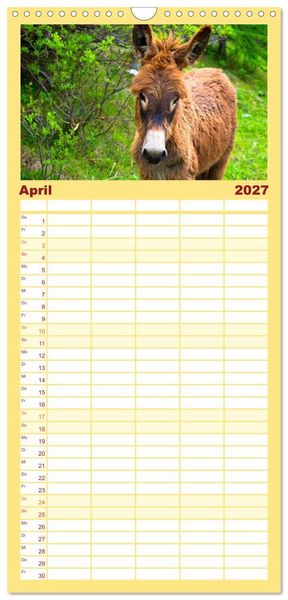 Produktbild: Familienplaner 2027 - Liebenswerte Esel mit 5 Spalten (Wandkalender, 21 x 45 cm) CALVENDO