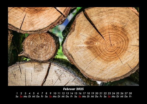 Produktbild: Waldzauber 2025 Fotokalender DIN A3