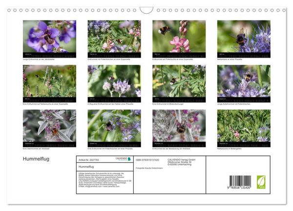 Produktbild: Hummelflug (Wandkalender 2026 DIN A3 quer), CALVENDO Monatskalender